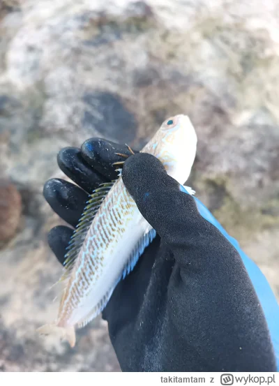 takitamtam - @Dy8ala94