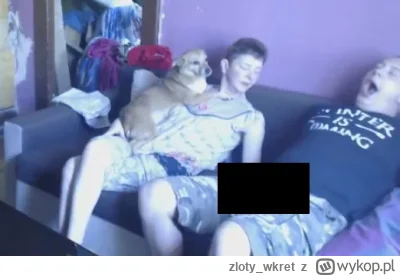 zloty_wkret - #danielmagical 
obrzydliwa istota, bo człowiek z odrobiną człowieczeńst...