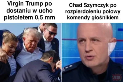 przegro_pisarz