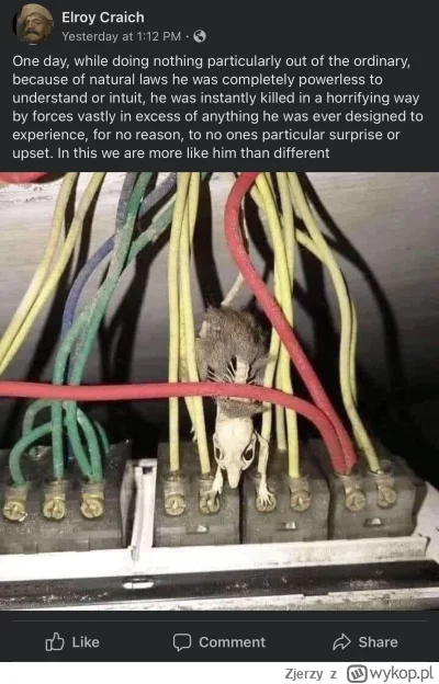 Zjerzy - #heheszki
Taka pogoda, że tylko takie memy można wrzucać. Eh.