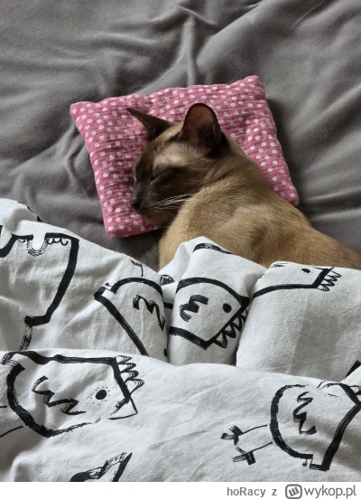 hoRacy - Kot mi się byczy

#koteczkizprzypadku #koty #kitku #zwierzaczki #kot #hehesz...