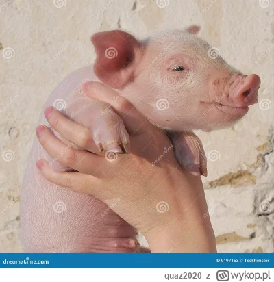 quaz2020 - @PeriodFromVaginax9