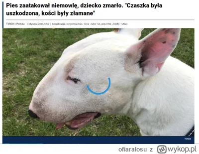 ofiaralosu - #smiesznypiesek https://tvn24.pl/polska/zgorzelec-bulterier-zaatakowal-2...