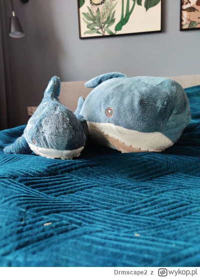 Drmscape2 - Rodzina w komplecie ( ͡° ͜ʖ ͡°)
#blahaj #ikea