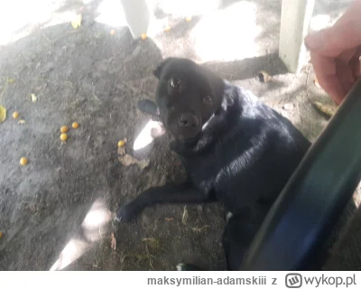 maksymilian-adamskiii - Neo leży!!( ͡° ͜ʖ ͡°)