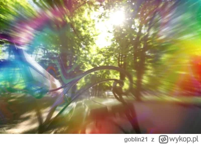 goblin21 - @eulenspiegel Migrenowa aura?