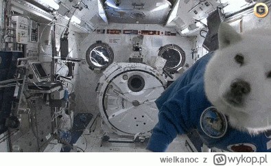 wielkanoc - Irlandia #eurowizja