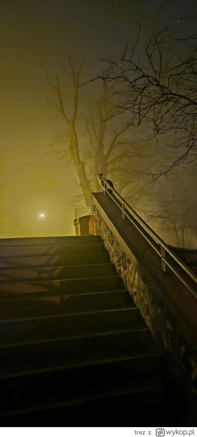 trez - Majestatyczny koteł ( ͡º ͜ʖ͡º)

#spierdotrip