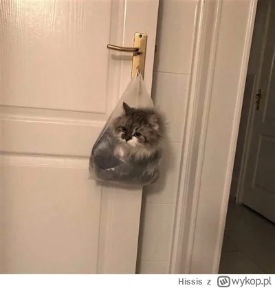 Hissis - @wfyokyga: o mam podobny obrazek
z fartem