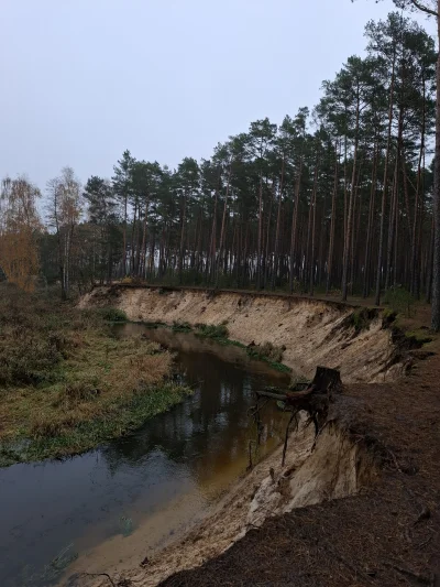 Gontyn- - #przegryw #spierdotrip