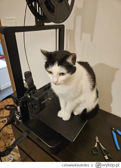 czlowiekbutelka - Coraz lepsze te drukarki ( ͡º ͜ʖ͡º)


#kitku #pokazkota #druk3d #ko...