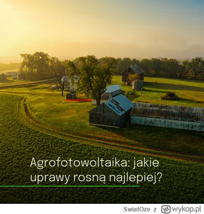 SwiatOze - 🌾Badania pokazują, że zboża i kukurydza gorzej znoszą częściowe zacienien...