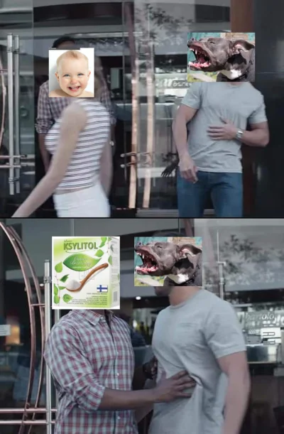 afmaf - #psiarze #psy #heheszki #ksylitol