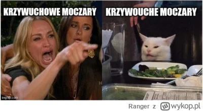 Ranger - #heheszki #humorobrazkowy #memy #smiesznekotki #wiedzmin #wiedzmin3 #3wiedzm...