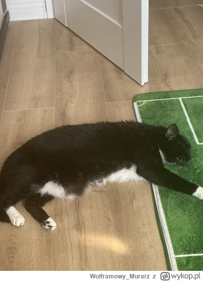 Wolframowy_Murarz - @simpiara