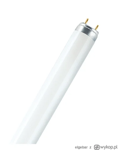 elgebar - #lublin 
Siema, gdzie w Lublinie można kupić zwykłą świetlówkę T8, nie LED?...