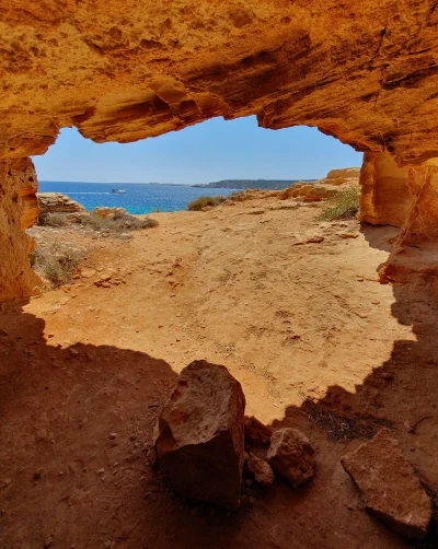 cheeseandonion - #pstryk