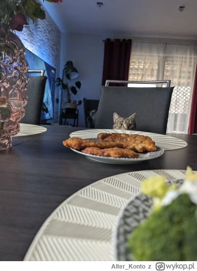 Alter_Konto - Daj ten talerzyk bliżej
#pokazkota