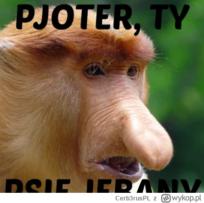 Cerb3rusPL - #konkursnanajbardziejgownianymemznosaczem