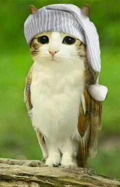 dywergent - wszystko w zyciu ma swoj poczatek i swoj koniec, ten dzien dla mnie ma sw...