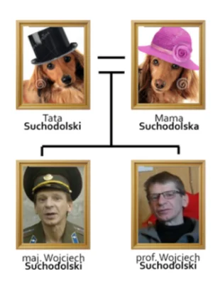 kamil28071987 - #kononowicz