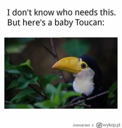 Jossarian - ( ͡° ͜ʖ ͡° )つ──☆*:・ﾟ