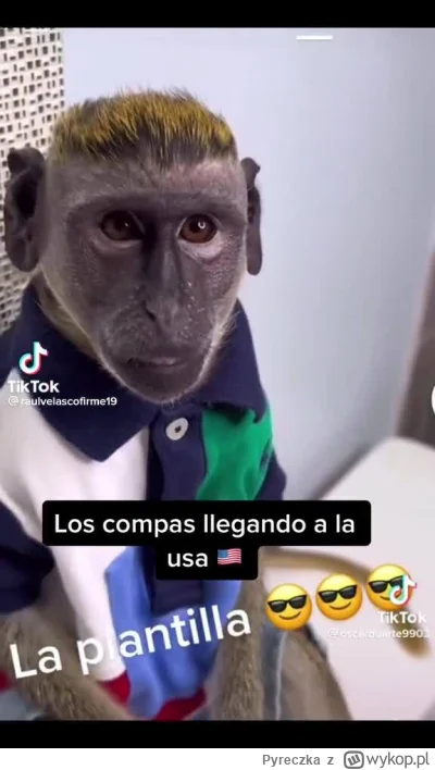 Pyreczka - @wymiatacz7: