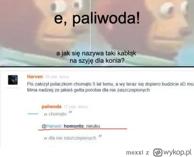 mexxl - @paliwoda Ty "mistszu" mowy polskiej jak tam znajomość słownika?