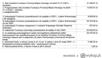 wookieb - Spójrzcie na plany finansowe. Toż to bicie piany o nic nie warte groszę. O ...