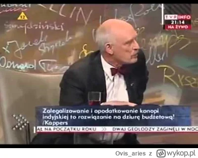 Ovis_aries - @Hortennsia