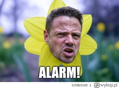 tr0llk0nt0 - @Aik32fr45yd: Nie mogłem się powstrzymać… 😼