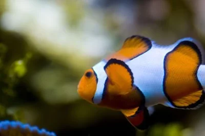 powsinogaszszlaja - Pomóżcie kto może studentom. Znalezisko, a nie na mirko, ale niec...