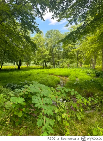 R2D2zSosnowca - @R2D2zSosnowca 7