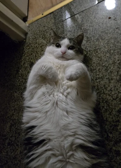 Solsith - @Pietruchoowy: to jest pułapka, zawsze gryzie( ͡º ͜ʖ͡º)