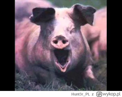 Hunt3r_PL - ( ͡~ ͜ʖ ͡°)