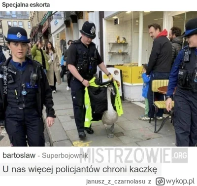 januszzczarnolasu - #polska #uk #zwierzaczki #heheszki #humorobrazkowy