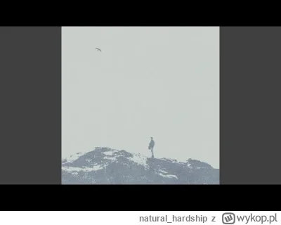 natural_hardship - kultodinochestva Никому
#muzykarosyjska #muzyka