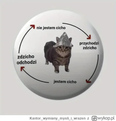 Kantorwymianymysliiwrazen - Zaczynam nową nitkę, znaczki, przypinki z TEMU.👍😏
#hehe...