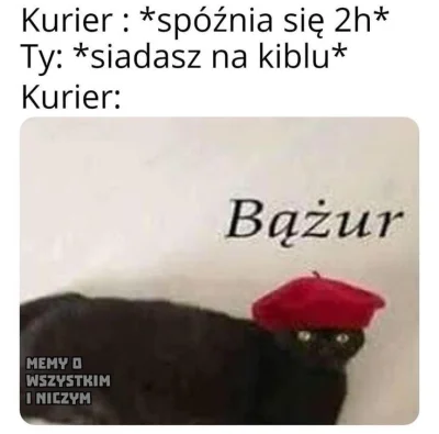 wscieklizna_irl