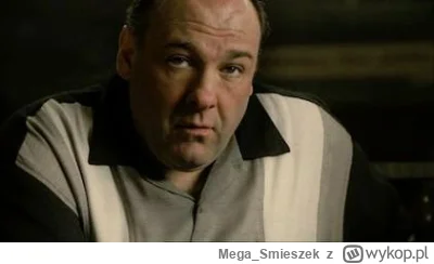 Mega_Smieszek - Z takich ciekawostek to dokładnie 17 lat temu Sopranos zakończyło swó...