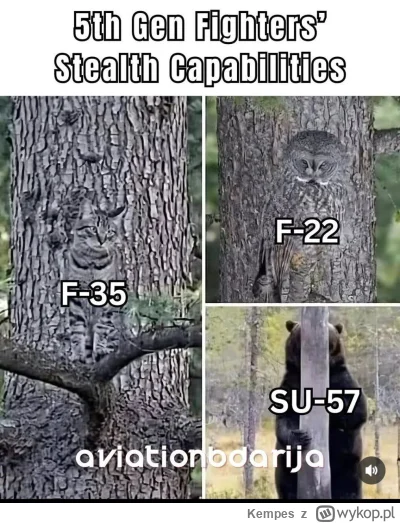 Kempes - #lotnictwo #heheszki #militaria