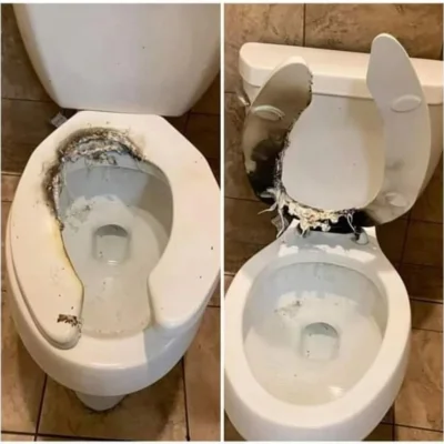 cheeseandonion - Co tu się stało? Tylko błędne odpowiedzi!