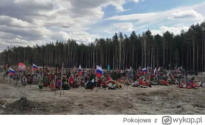 Pokojowa - Federacja Rosyjska potroiła wydatki rządu na rozbudowę cmentarzy , wydając...