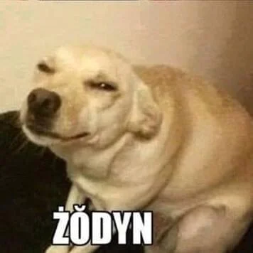 schnippenschnappen - @Wykoppl6: ( ͡° ͜ʖ ͡°)