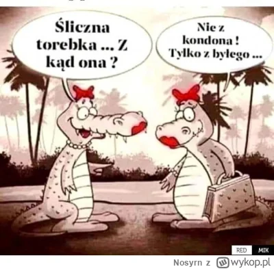 Nosyrn - #heheszki #humorobrazkowy