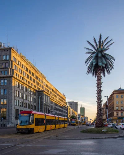 BozenaMal - Dziś swoje 21 urodziny obchodzi warszawska palma. Na początku palma miała...