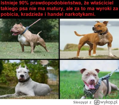 Sleepypl - #psiarze #heheszki #humorobrazkowy