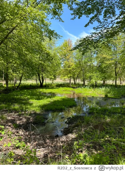 R2D2zSosnowca - @R2D2zSosnowca 1 V