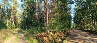 KladzSie - Jestem na rozstaju