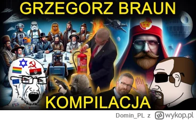 Domin_PL - Kompilacja odpałów naczelnego strażaka RP #braun #konfederacja #memy #prze...